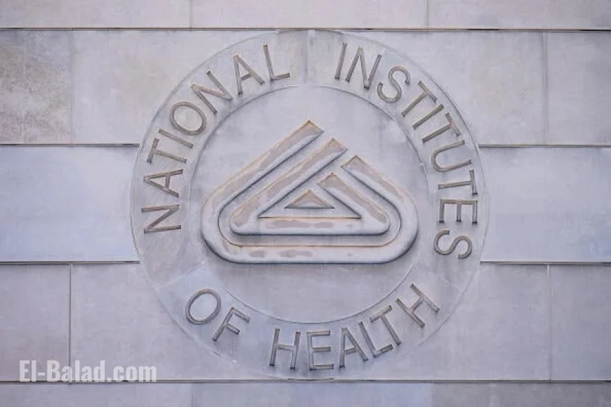 NIH Approves Hundreds of Previously Denied Grant Applications