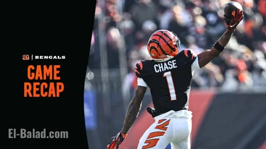 Bengals vs. Browns: Postgame Recap, Key Stats, and Highlights