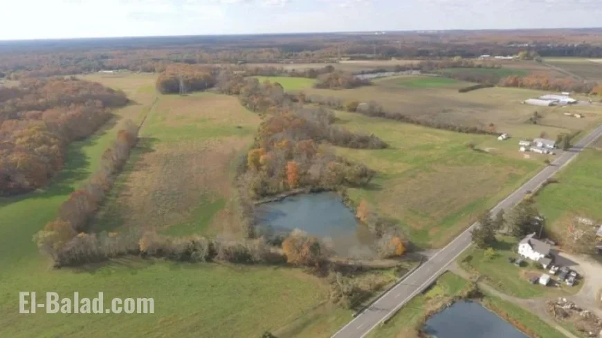 193-Acre Preserved Ocean County Farms Set for Auction Sale