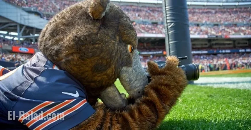 Should the Chicago Bears Rest Key Players on Sunday?