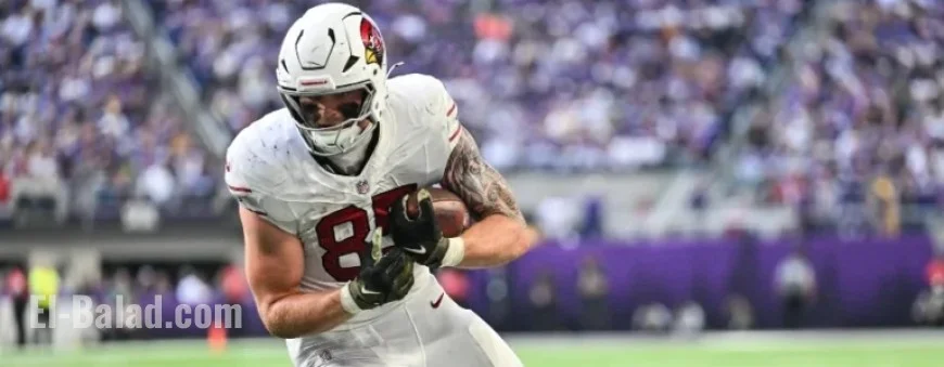 NFL Week 18 DFS TE Analysis: Best Cash and Tournament Picks