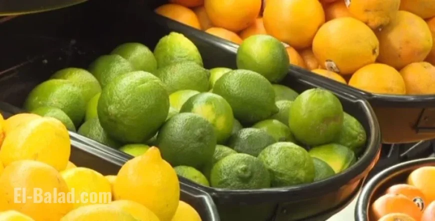 UVic Graduate Develops App to Find Grocery Deals