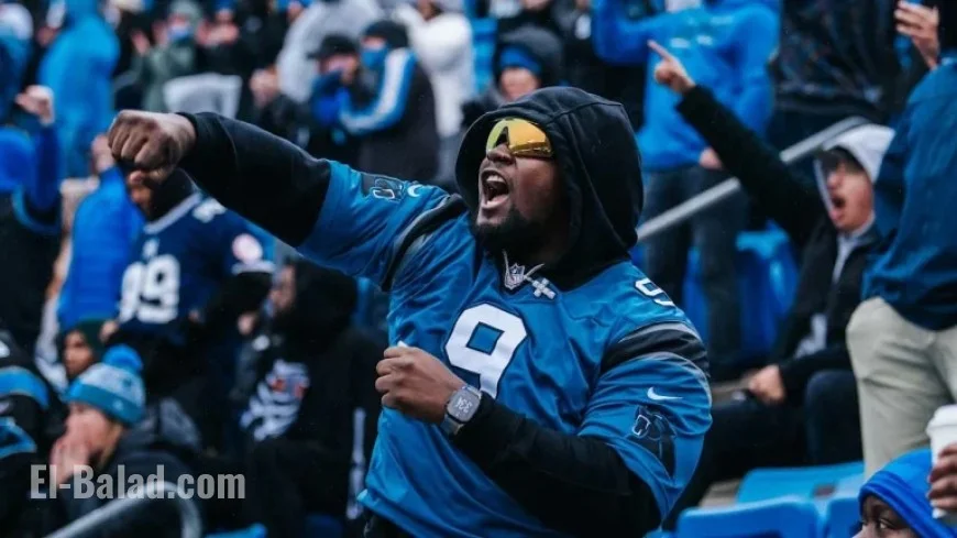 Panthers Face Rams in Scheduled Playoff Showdown