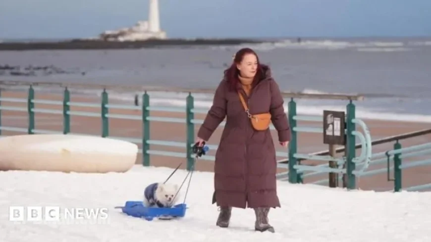 Snow Forces School Closures Across UK Amid Cold Snap