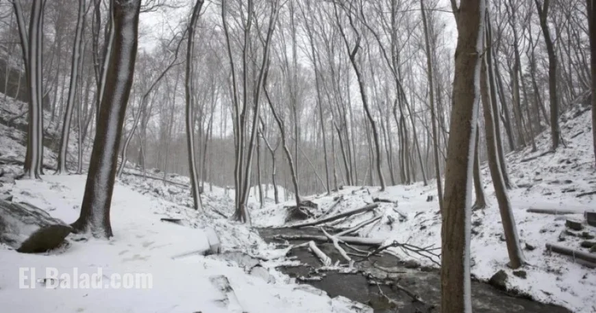 Snowy Monday Morning Commute Alert Issued by Environment Canada for Hamilton