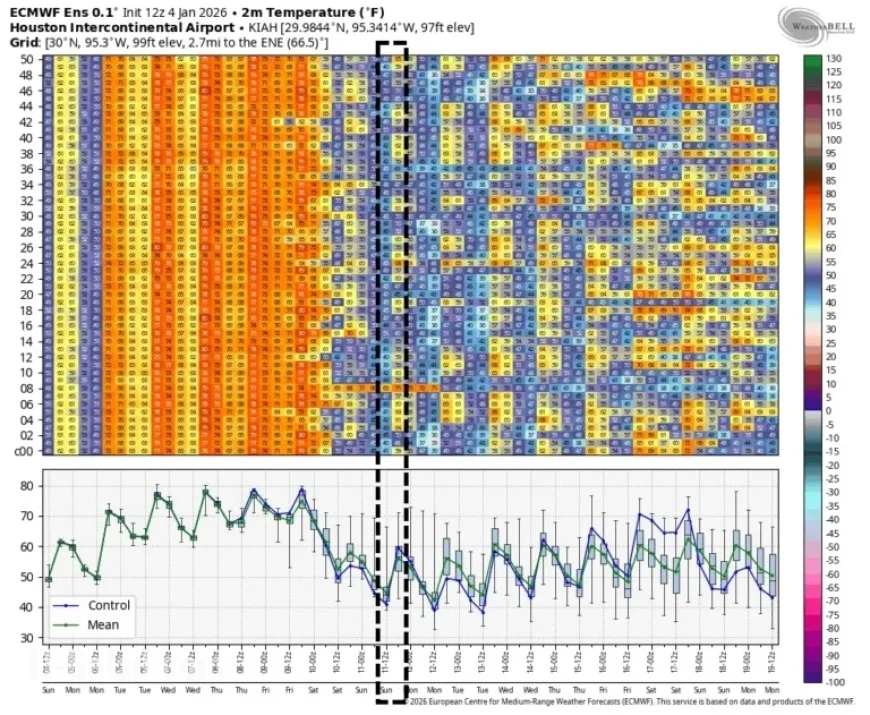 Houston Marathon Forecast: Cooler Temperatures, Nearly Ideal Running Conditions