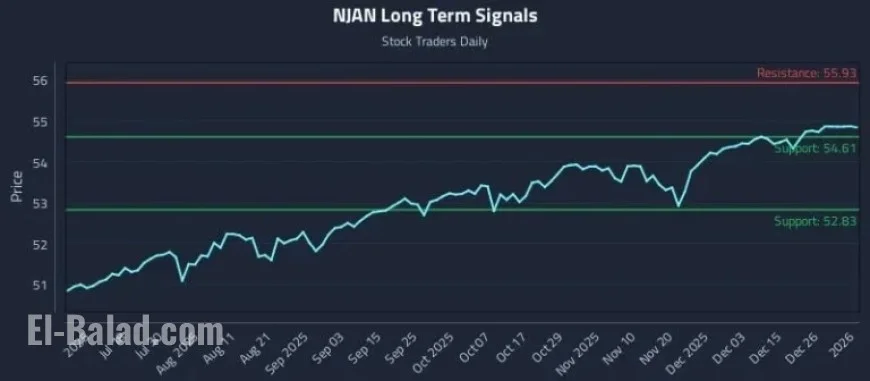 Experts React to NJAN Trends in Macro Strategies