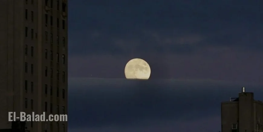 UWS Litter Reveals Neighborhood Traits; Congestion Pricing Impact; Coyote in Central Park; Extell Resale