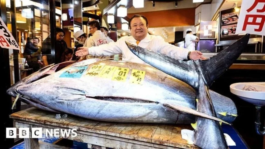 Bluefin Tuna Sets Record at Tokyo Auction, Fetching $3.2 Million