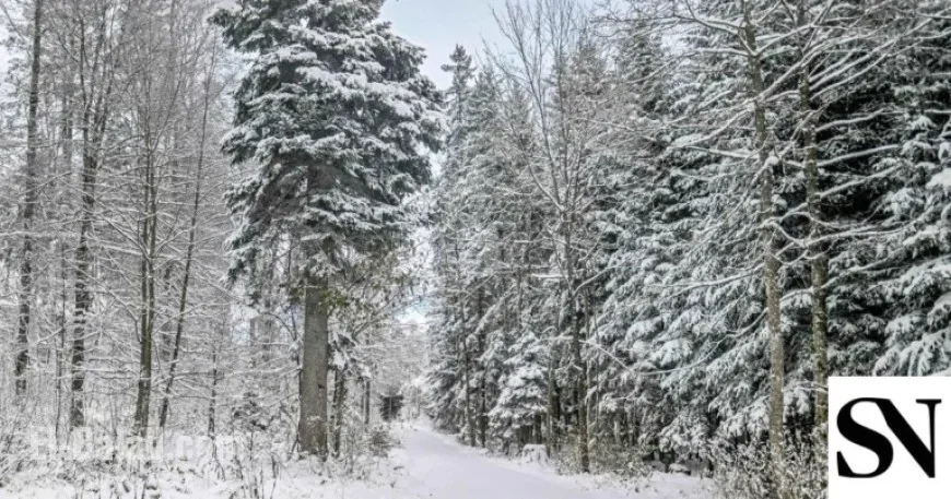 This Week Brings Freezing Cold, Snow Expected by Weekend