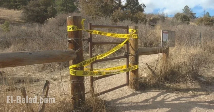 Mountain Lions Surround, Fatally Attack Couple on Northern Colorado Trail