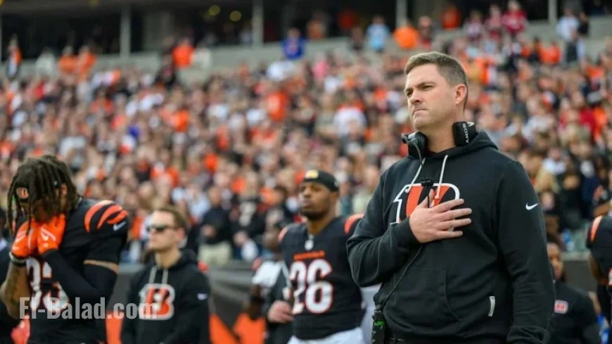 2026 Offseason Launches with Proven Offense, Rising Defense