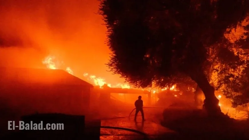 Jacob Soboroff Reflects on LA’s Devastating Fires in ‘Firestorm’