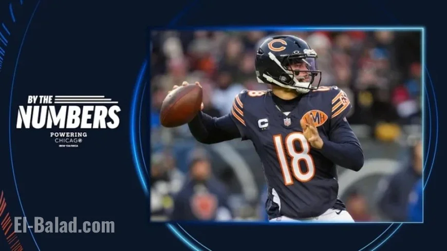 Lions Dominate Bears: A Statistical Showdown