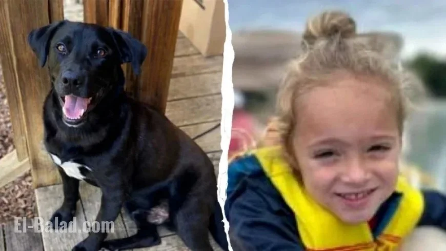 Tragic Find: Missing 4-Year-Old Florida Boy Discovered Dead in Alabama Woods