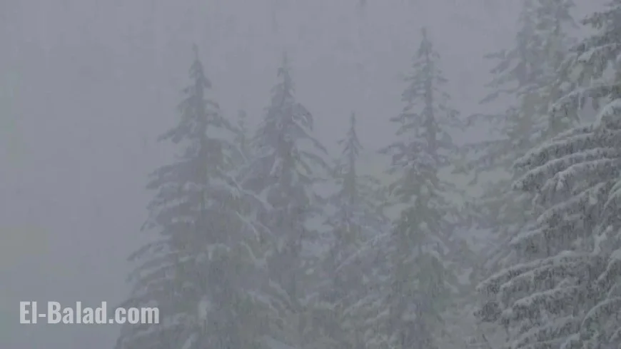 Winter Weather Alert: Ensure Javascript is Enabled for Website Access