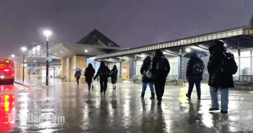 GTHA Faces Freezing Rain Threat Tuesday Morning, Warns Environment Canada