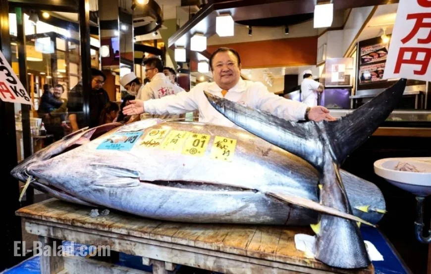 “Tuna King Sets Record with ¥510.3 Million Bluefin Auction Bid”