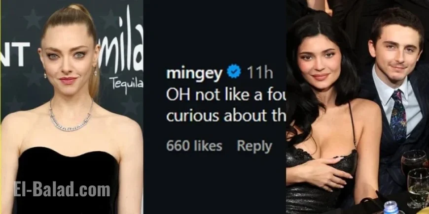 Amanda Seyfried’s Reaction to Timothee Chalamet and Kylie Jenner Speech Delights Fans