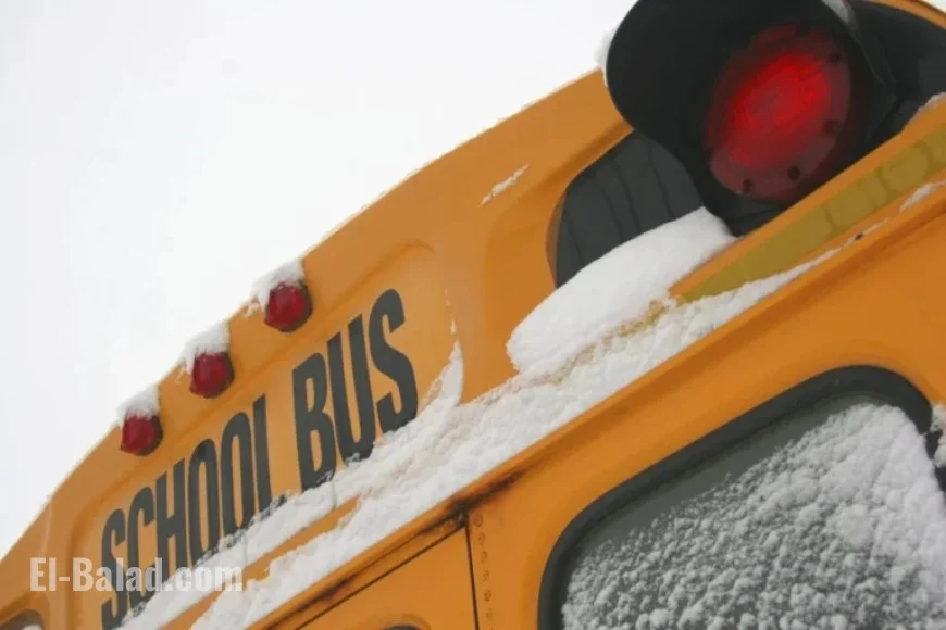 Freezing Rain Forces School Bus Cancellations Across GTA
