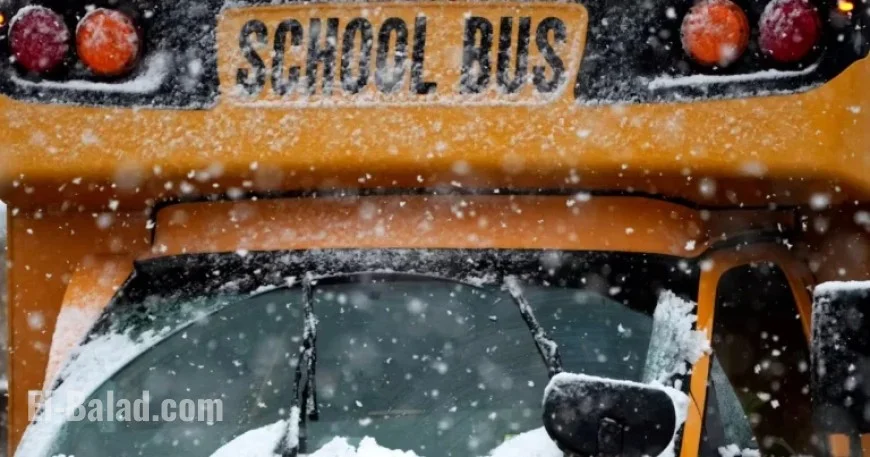 GTHA School Bus Cancellations Announced for Tuesday, January 6, 2026