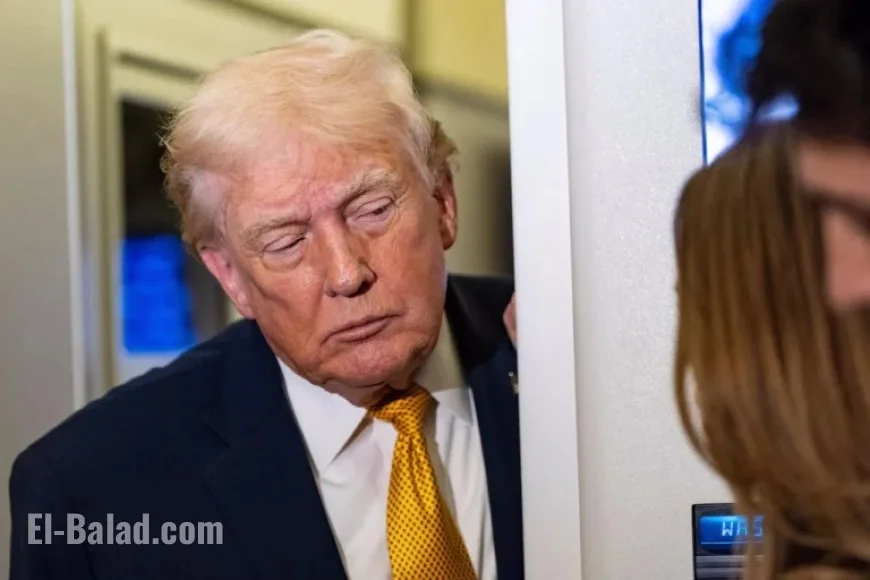 MAGA Mob Confronts Fox News Regular Criticizing Trump’s Venezuela Actions