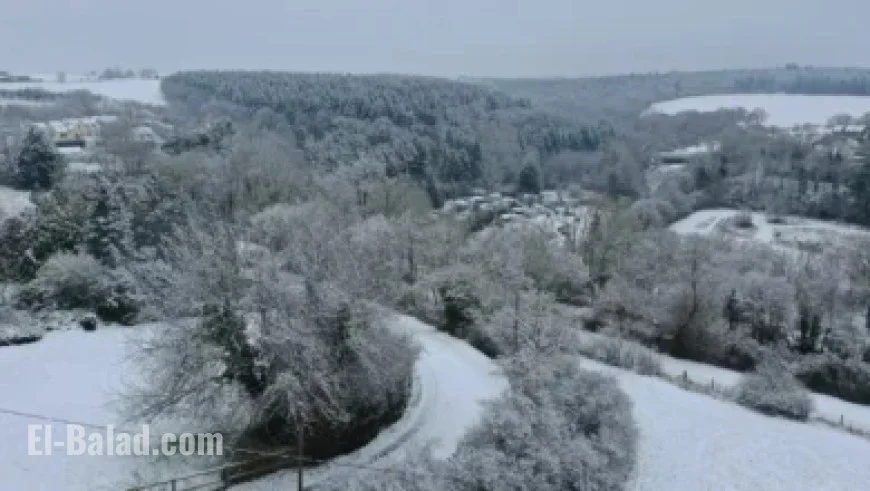 Stars vs. Hurricanes: Ultimate Game Day Guide