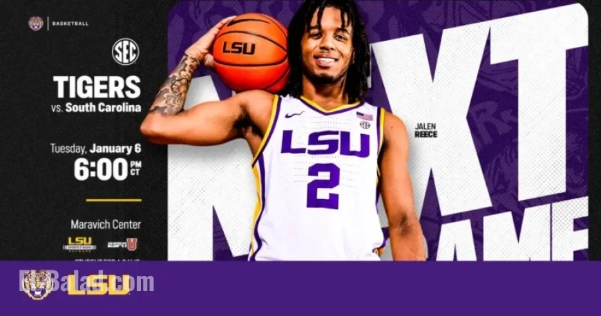 Basketball Tigers Host South Carolina in SEC Home Opener Tuesday Night
