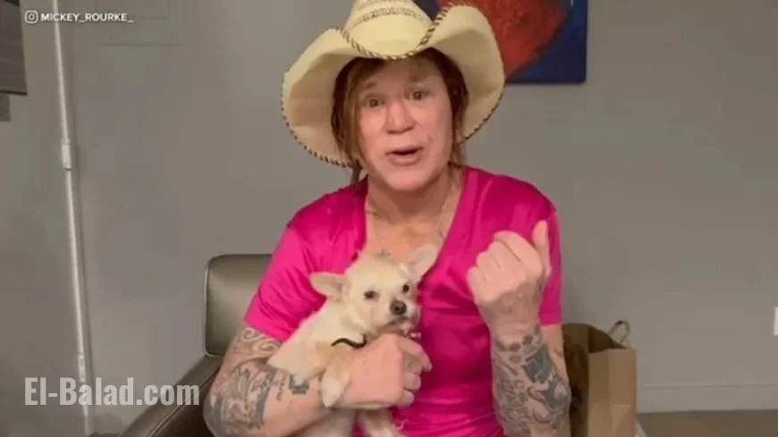 Mickey Rourke Denies GoFundMe Eviction Campaign: “Request Refund”