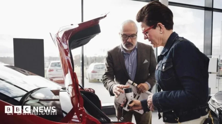 Industry Group Warns: Electric Car Discounts Unsustainable