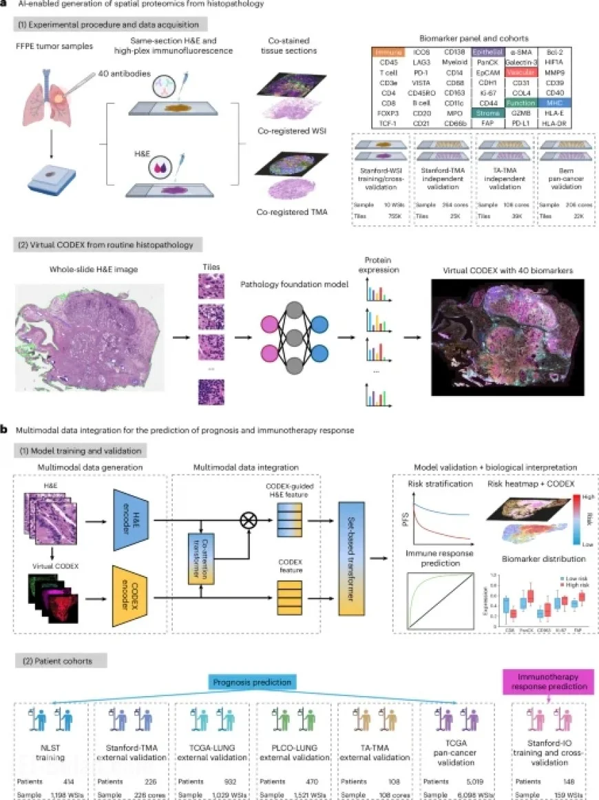 AI-Driven Spatial Proteomics Unveils Lung Cancer Biomarkers from Histopathology