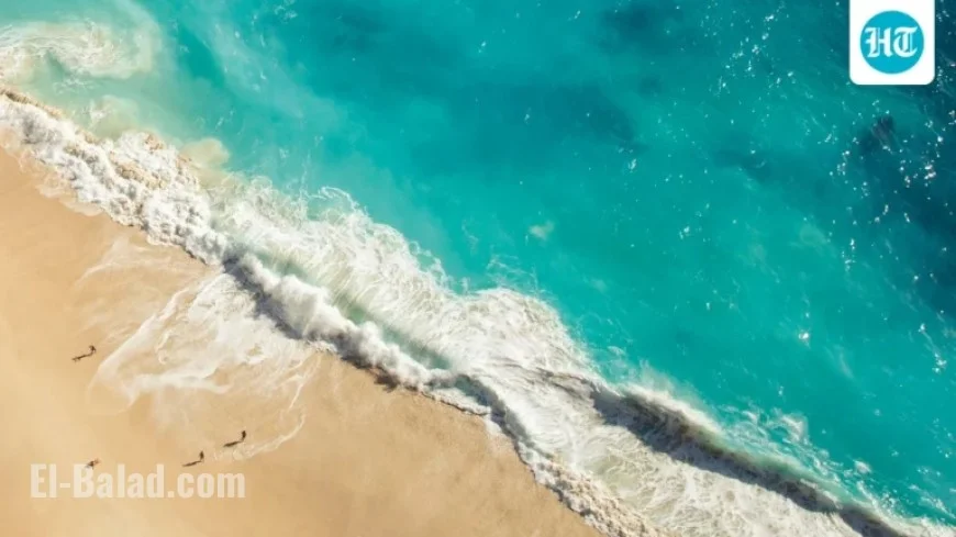 2026 Budget Getaway: Beach Vacations, Sunrise Parties, and Yoga Retreats