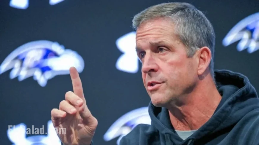 Dolphins Yet to Contact John Harbaugh: Report