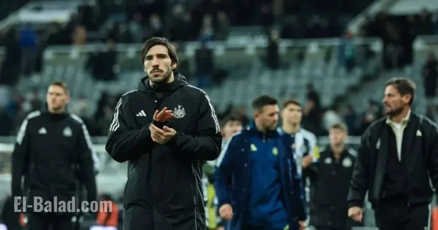 Newcastle United Revamps Post-Tonali Exit; Schar Teases New Strategy