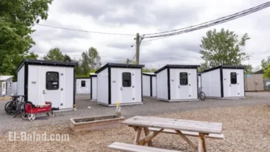 Anfernee Simons Proves His Worth with the Celtics