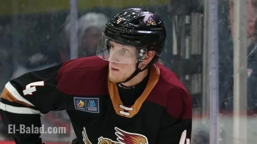 Hurricanes Secure Defenseman Välimäki Acquisition