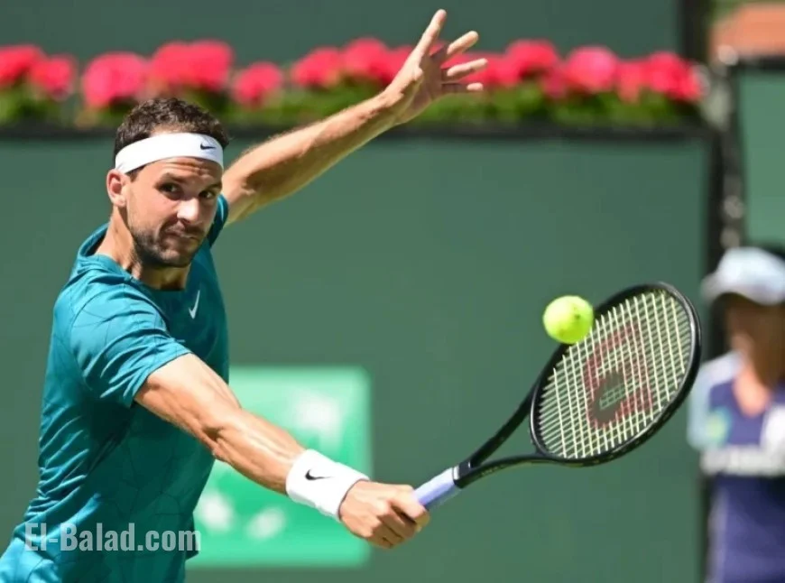 Top ATP Brisbane Bets: Dimitrov Faces Collignon Showdown