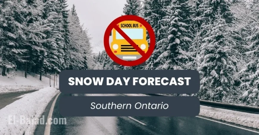 Southern Ontario Braces for January 8 Snow and Fog Day Forecast