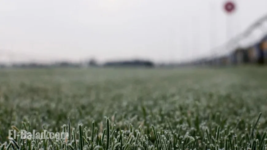 Latest Weather and Inspection Updates for Racing Events