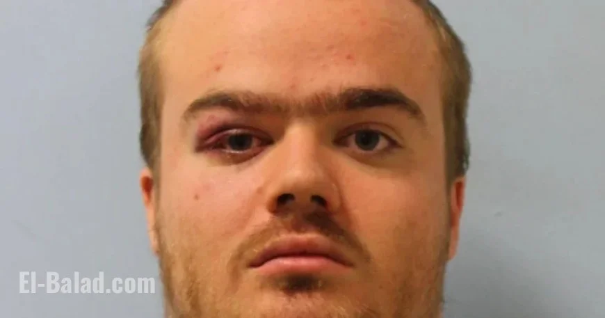 Tate Modern Attacker Sentenced After Incident with Nurse