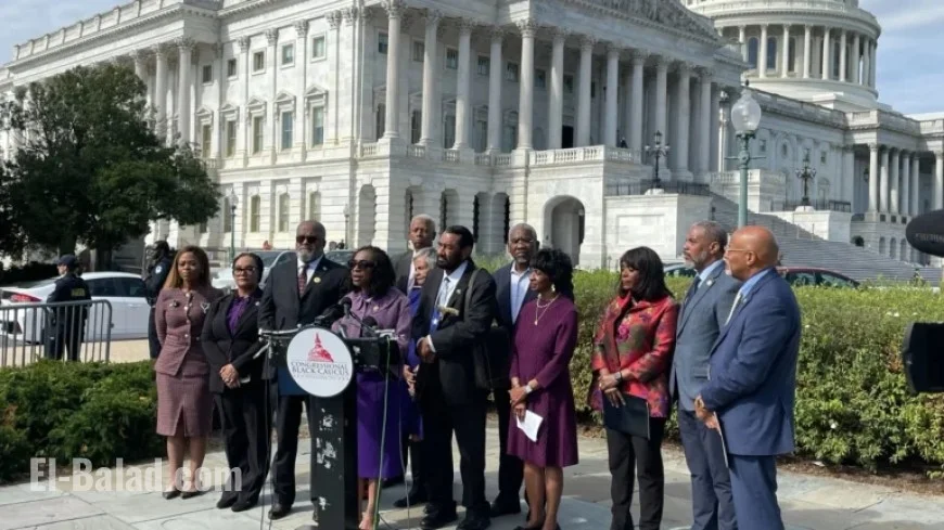 Court Ruling Threatens Black Representation in Congress