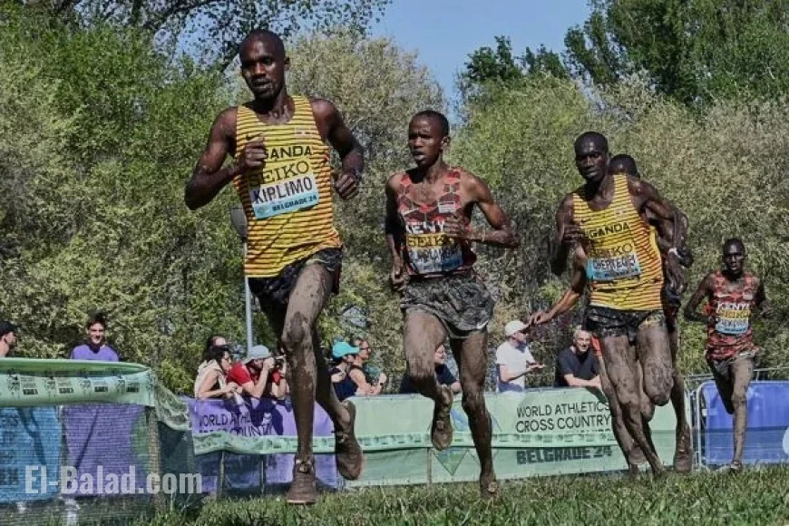 World Athletics Cross Country Championships Tallahassee 26 Entry Lists Published