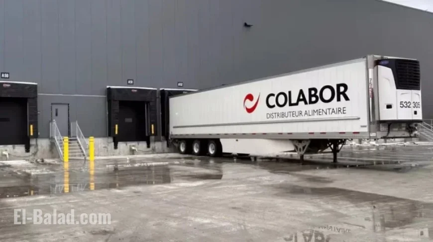 Colabor Seeks Creditor Protection Amid Growing Debt in Food Distribution