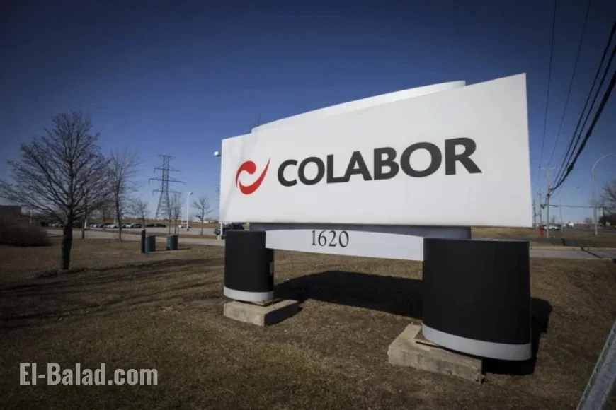 Food Distributor Colabor Seeks Creditor Protection, Considers Purchase Offer