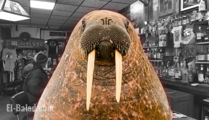 Walrus Penis Stolen from N.J. Cheesesteak Landmark, Owner Outraged