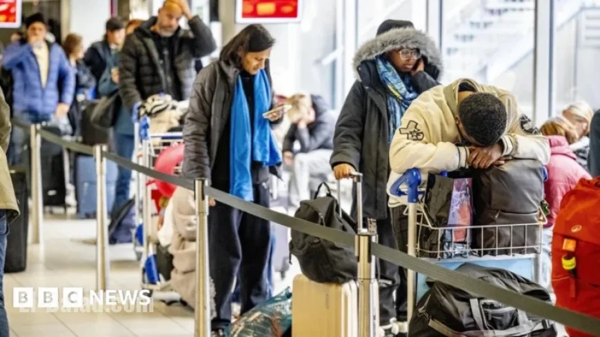 Icy Weather Grounds Norwich-Amsterdam Flights