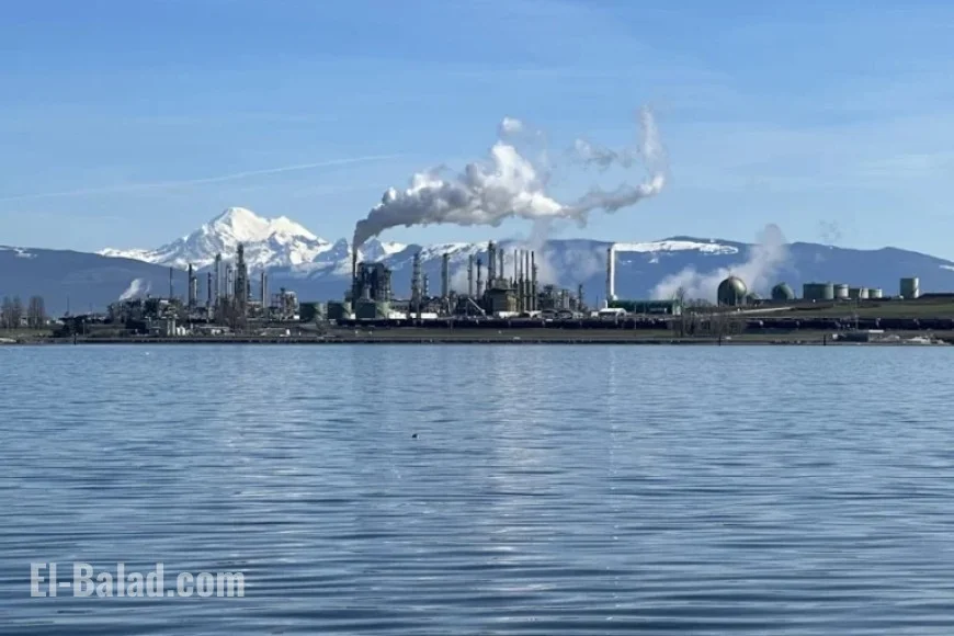 Officials Admit Washington State’s Climate Efforts Lack Substance