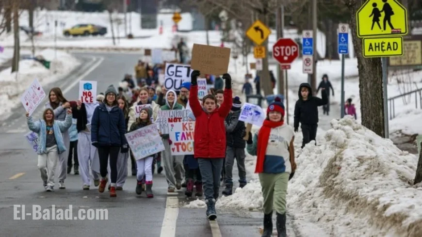 NPR Presents: The Picture Show