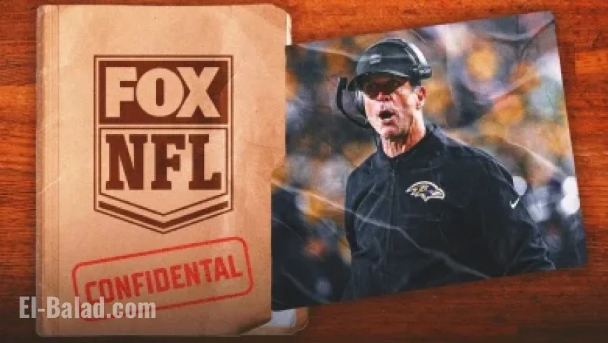 Dolphins Coach/GM Search: Key Insights and Essential Rules