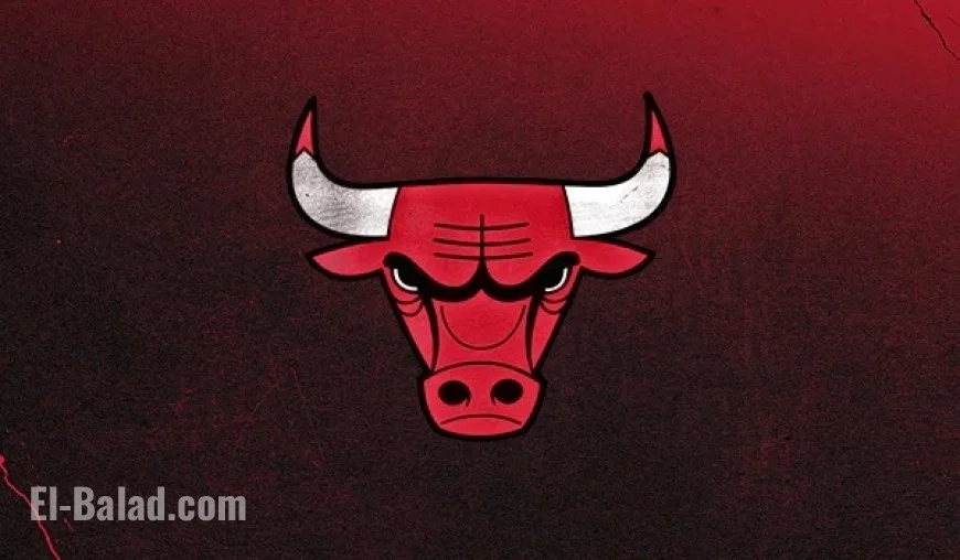 NBA Postpones Bulls vs. Heat Game